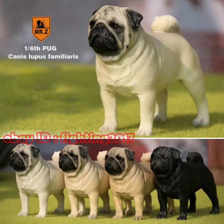 その他 PUG 1st COLOR $_57.JPG?set_id=8800005007