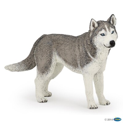 Papo 54035 Sibirischer Siberian Husky 11 cm Wildtiere