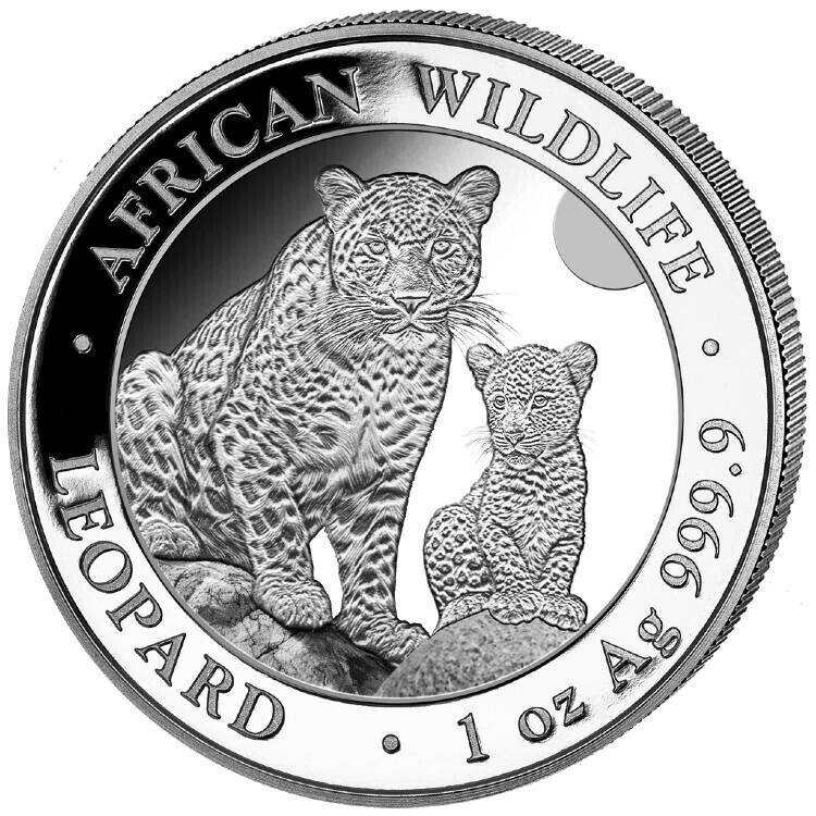 2024 Somali African Wildlife Leopard 1 Oz 999.9 Fine Silver Coin In Premium Caps