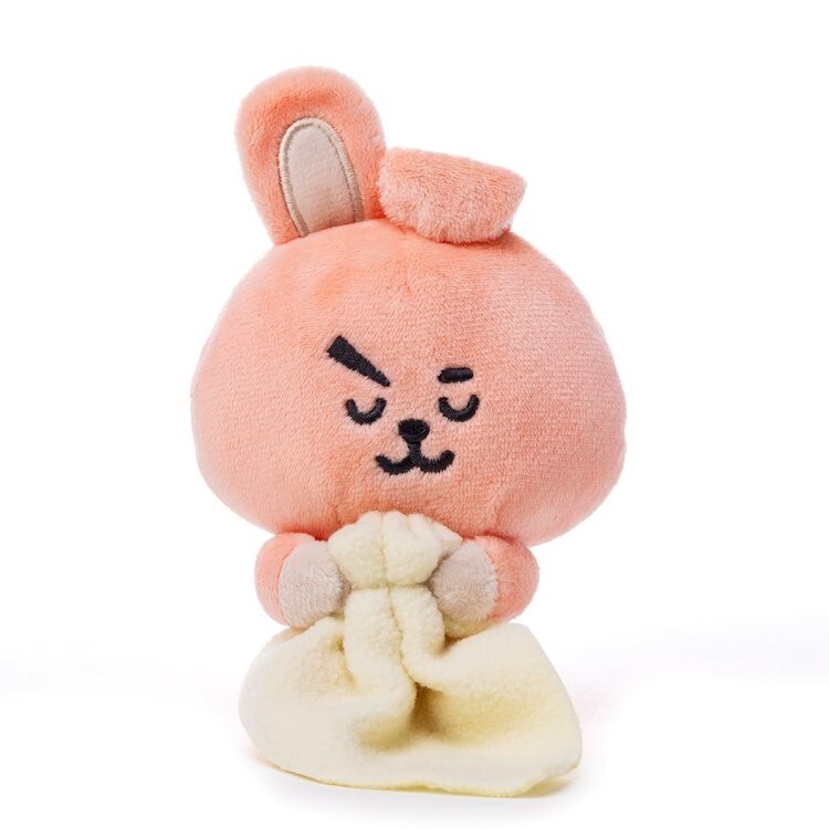 BTS BT21 COOKY See you in my dream Sleeping Plush Doll LINE