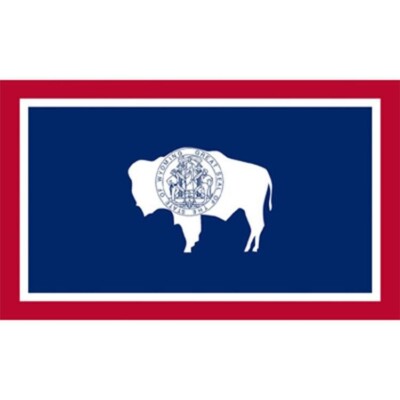 3x5FT Wyoming Flag State Bison Seal Native Decor Man Cave Dorm Garage WY USA