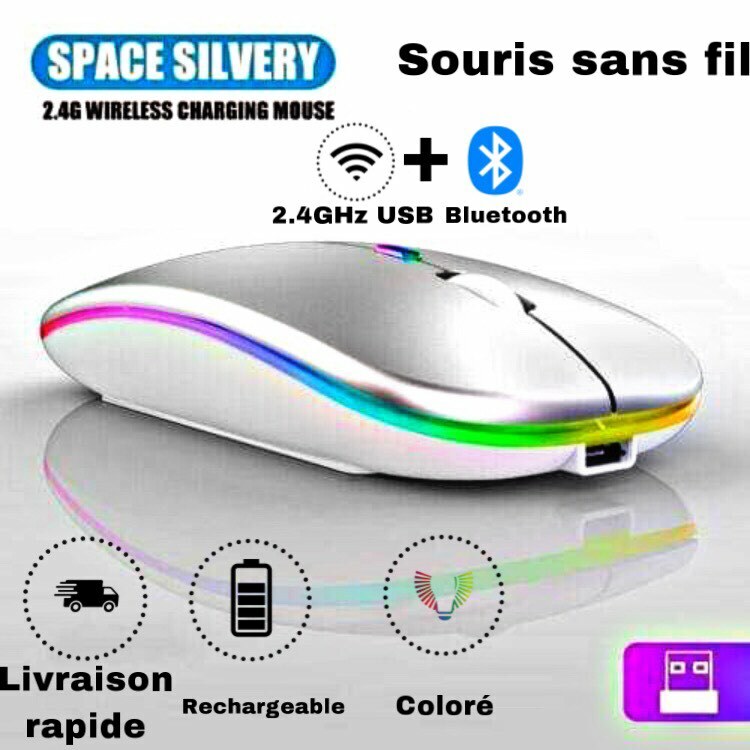 Souris Sans Fil Usb + Bluetooth Silencieux Rechargeable Ergonomique Silver  Led