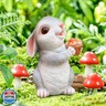 WONDHOME Solar Rabbit Garden Statues Outdoor Bunny Decor Resin Bunny Figurine Holding Mushroom with LED Lights for Porch Patio Lawn Yard Christmas Birthday Housewarming Gardening Gifts for Mom Grandma