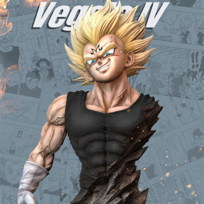 Hero Belief Studio 1/1 Dragon Ball Vegeta IV Black Ver
