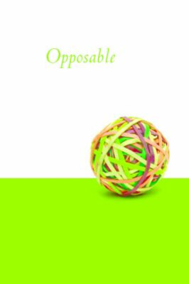 The Opposable Mind : How Successful Leaders Win Through Integrati