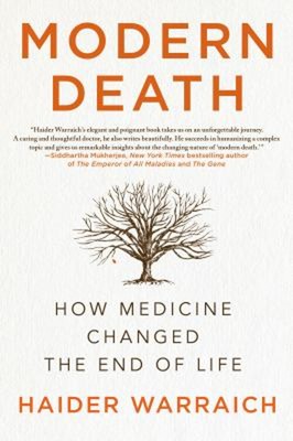 Modern Death : How Medicine Changed the End of Life Paperback Hai