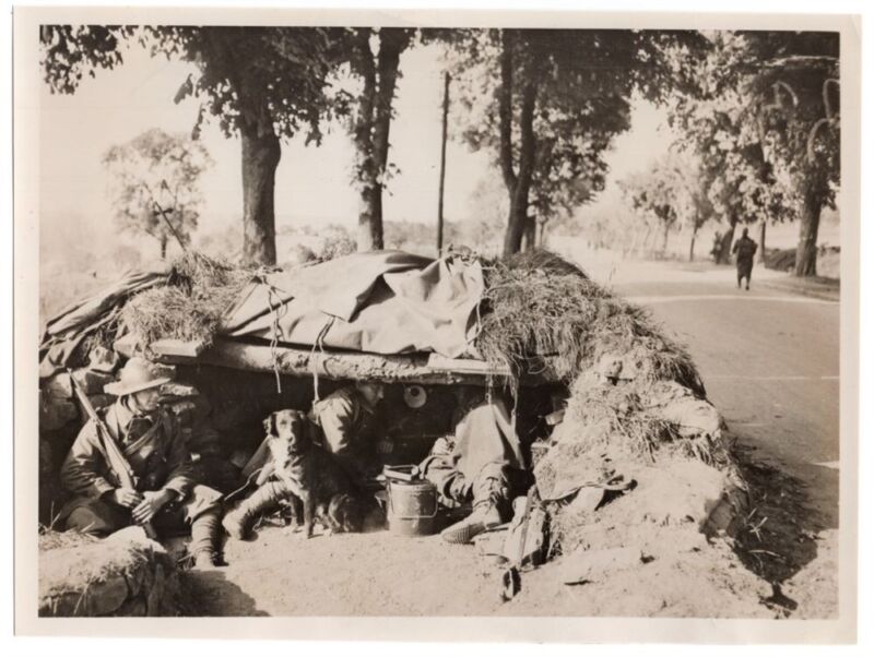 1940 French Anti-Tank Post Awaits German Advance Along Road Original News Photo
