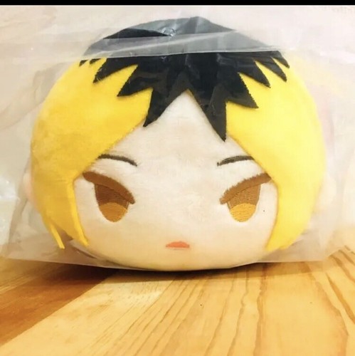 $_12.JPG?set_id=880000500F