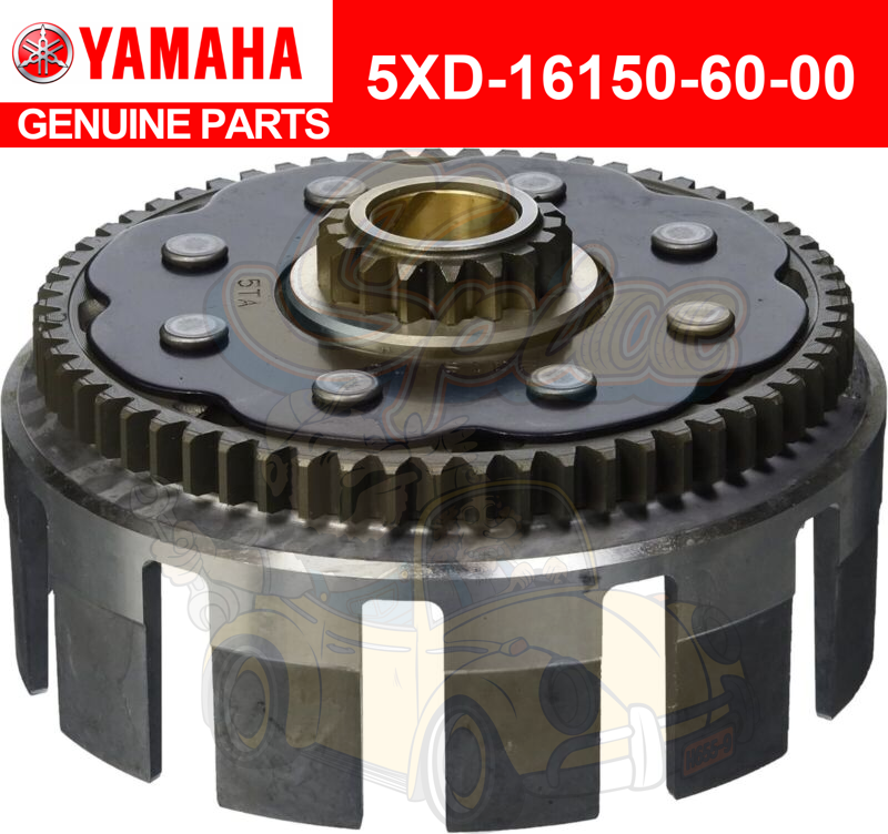 61QpPsX7jBL._AC_UF350,