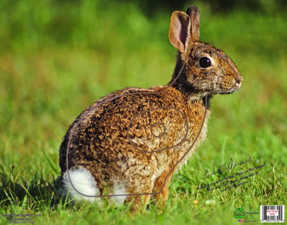 Set of 5 Nice Targets - Deer, Turkey, Rabbit, Recyclable Poly Weather Resistant