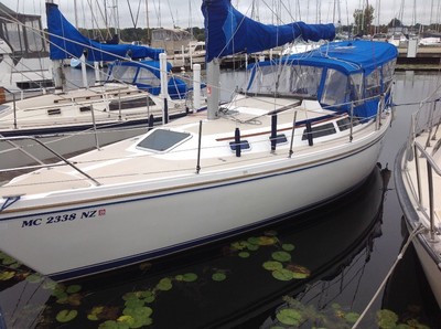 Catalina 30 Tall Rig Sailboat Whitehall, Mi MAKE OFFER MOVING TO LARGER VESSEL