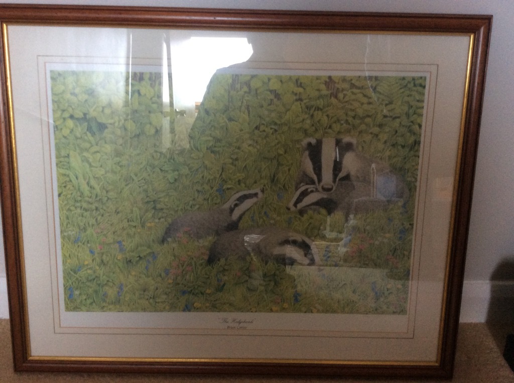 Two Brian Carter Prints signed by artist and framed in Preston, Devon