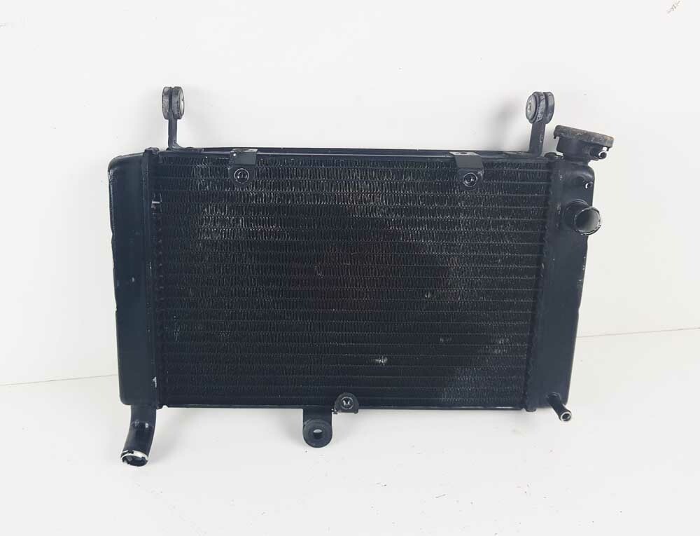Radiatore Acqua YAMAHA YZF 600 R THUNDERCAT YZF600R 1996   2003