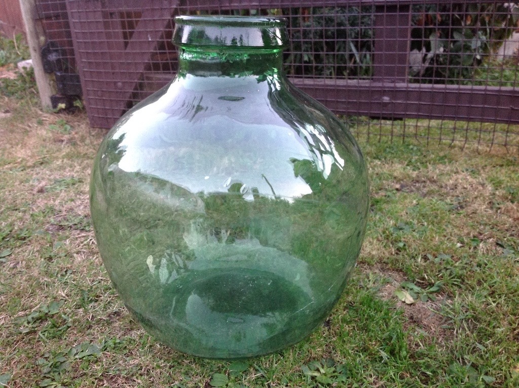 Large Vintage glass terrarium in Norwich, Norfolk Gumtree