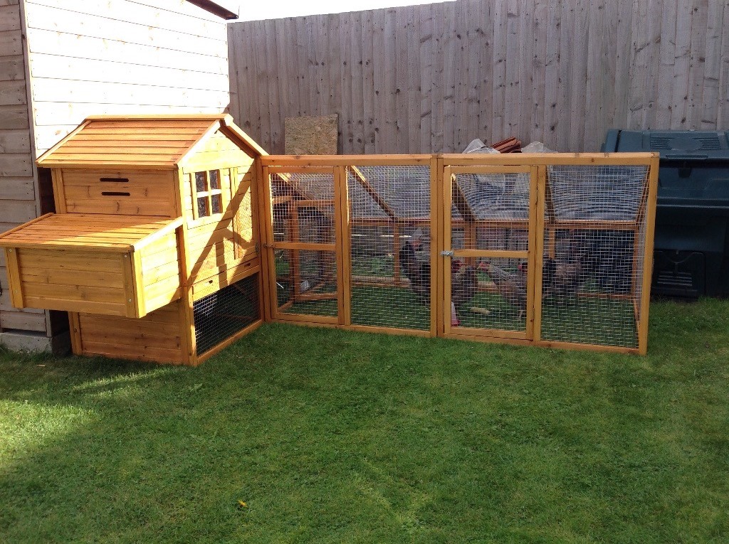Chicken Coop With Double Run 3 Crested Cream Legbar Hens 18mths Old In Driffield East Yorkshire Gumtree