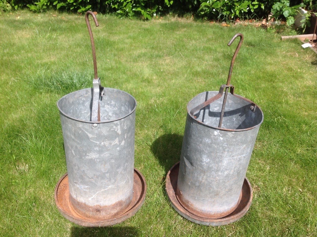 Large Chicken Feeders In Exeter Devon Gumtree