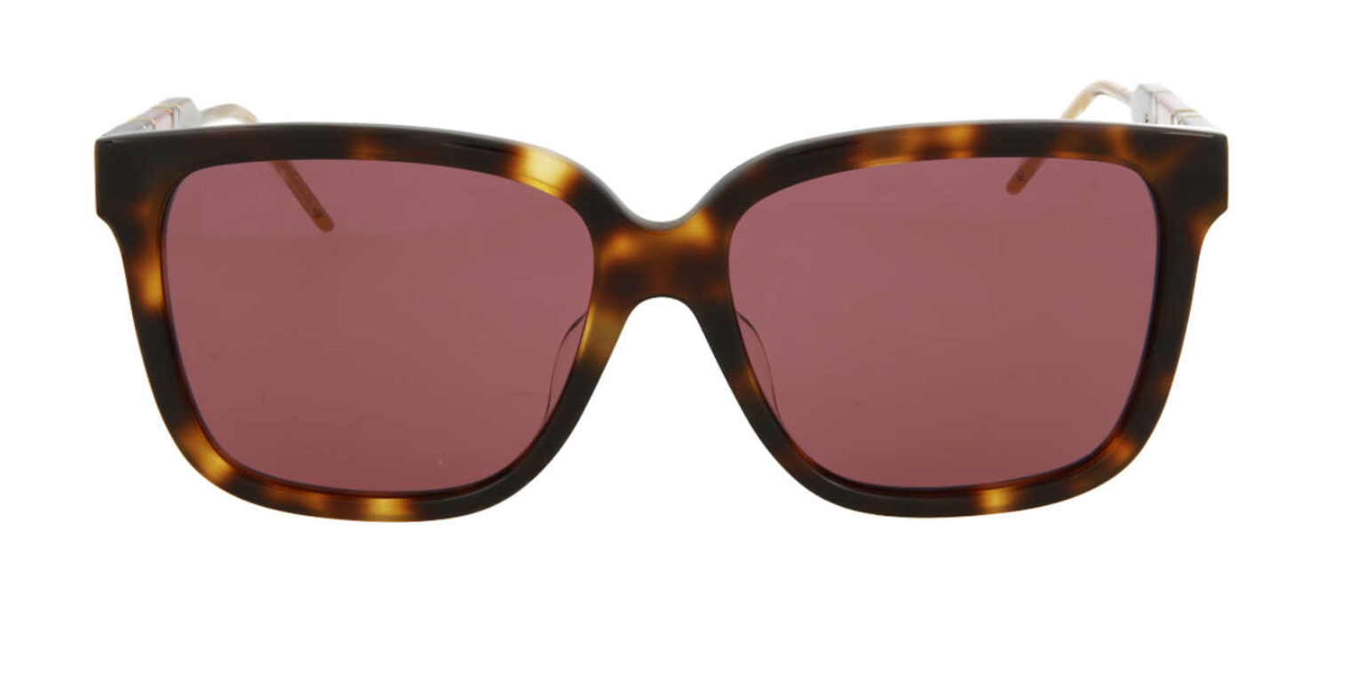 Pre-owned Gucci Gg0599sa-003 Women's Havana & Gold / Violet Tinted Sunglasses In Purple