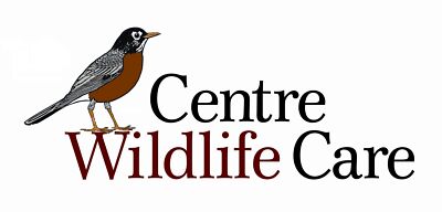 Centre Wildlife Care | eBay for Charity