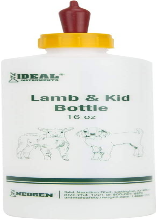IDEAL 7004 Lamb & Kid Bottle 16Oz W/Red Screw-On Teat