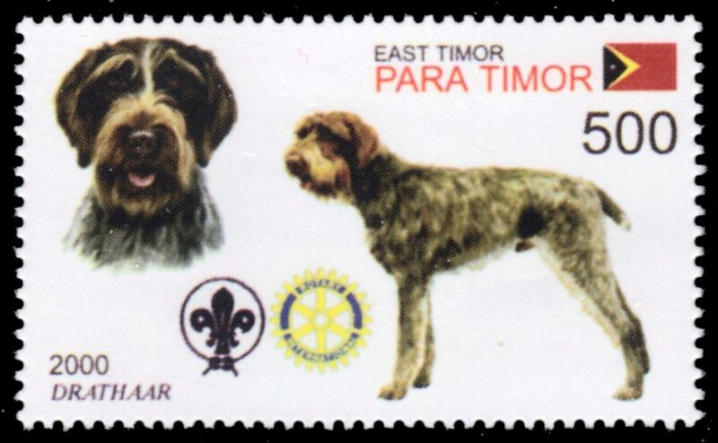 TIMOR LESTE 2002t - Dogs of the World "Drathaar" (pb74168+)