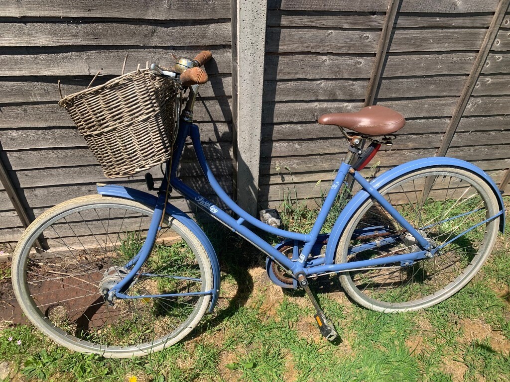 gumtree pashley