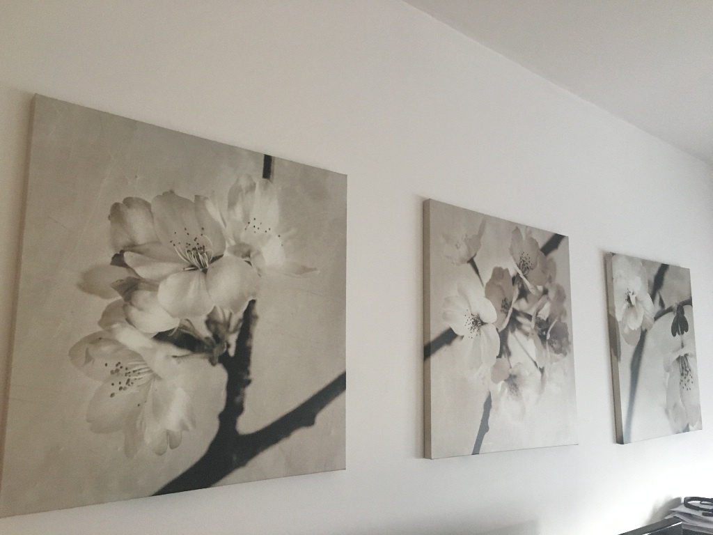 Ikea PJÄTTERYD Picture, set of 3 neutral / flower / canvas / print