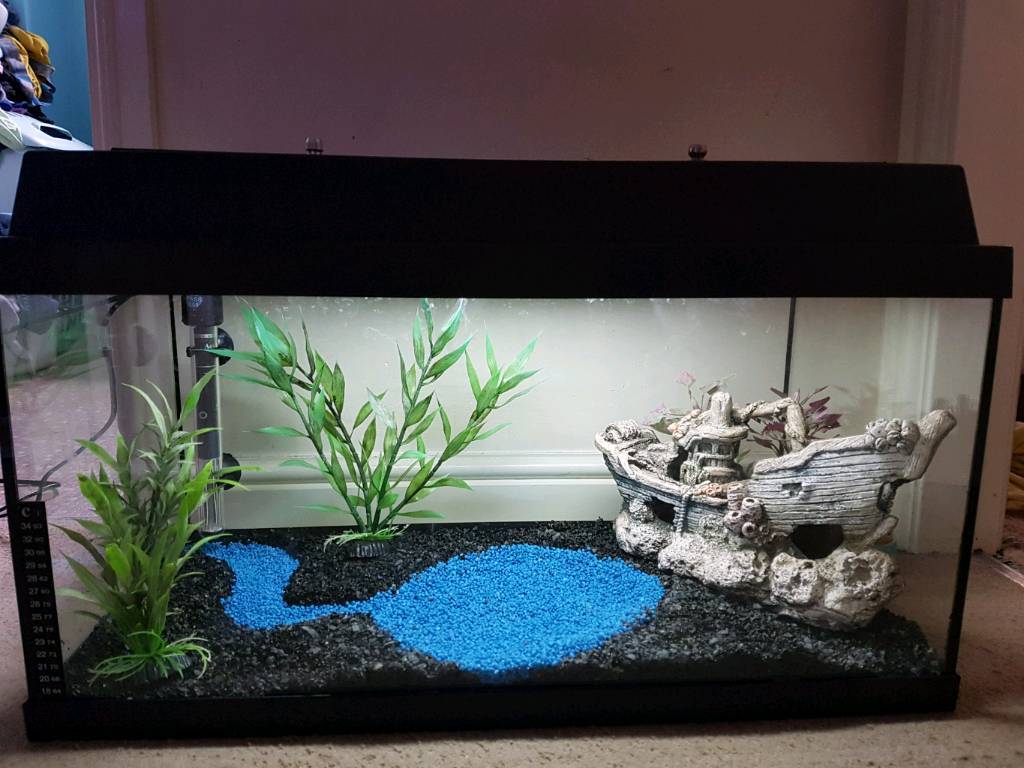 Fish tank in Bradford, West Yorkshire Gumtree
