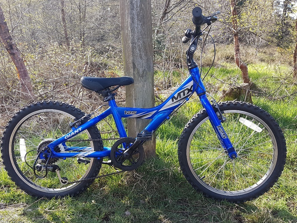 giant mtx mountain bike