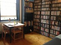 Bright, quiet, comfortable studio flat in excellent location to rent this October
