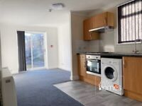 Large newly decorated Studio Flat with private garden in Wood Green, N22