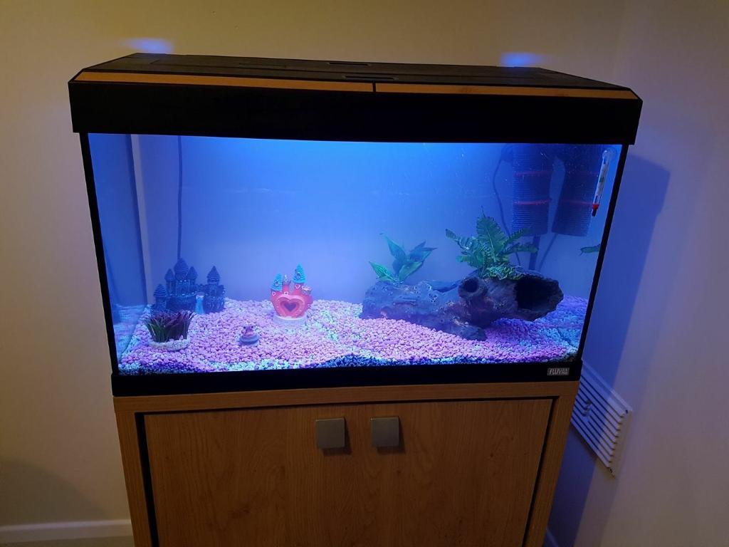 120L jewel fish tank in Leicester Forest East, Leicestershire Gumtree