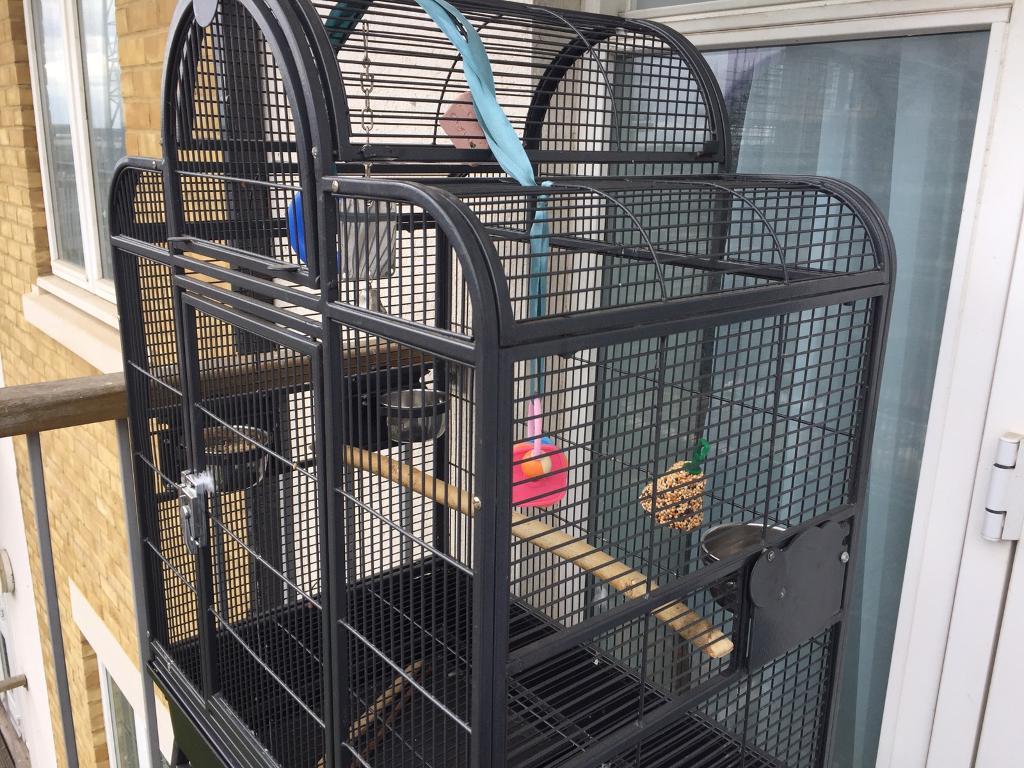 Large Parrot / bird cage excellent condition African grey ringneck in