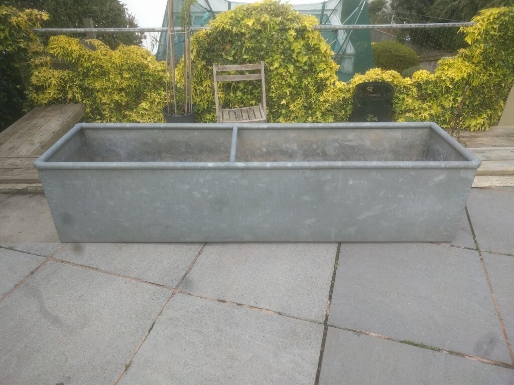 Galvanized Water Trough Garden