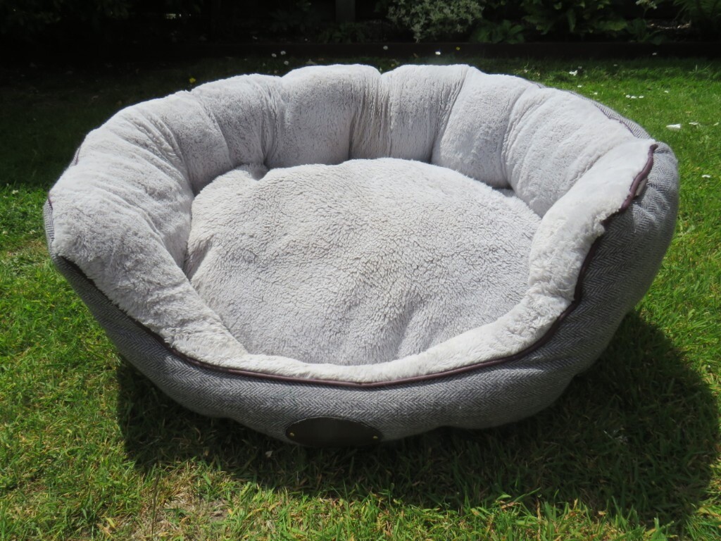 Wainwright medium dog bed in Poole, Dorset Gumtree