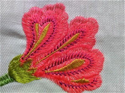 nn12 MANUEL CANOVAS 