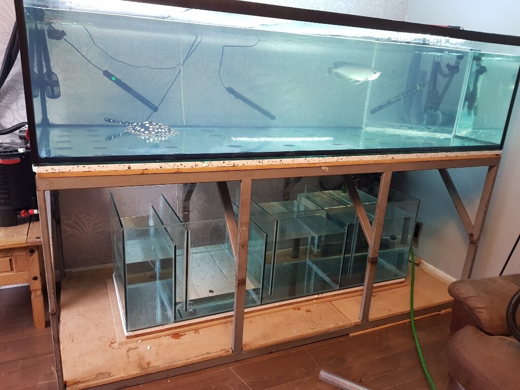 8ft x 3.5ft x 2ft fish tank with 6ft sump in Newport Gumtree
