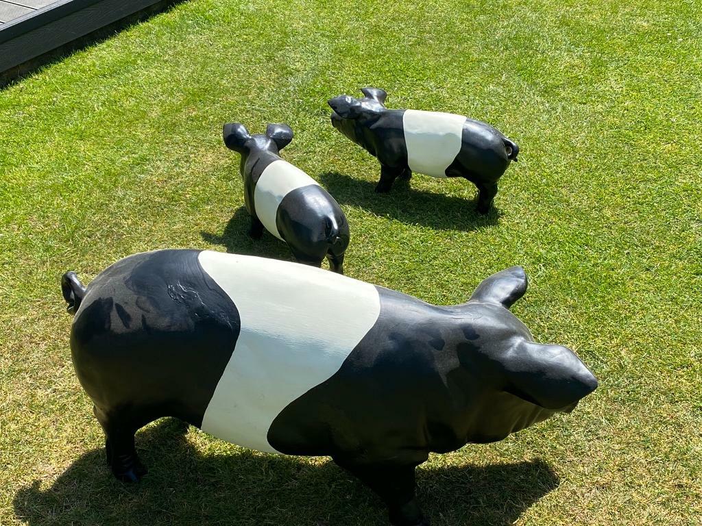 Pigs garden ornaments in Blofield, Norfolk Gumtree
