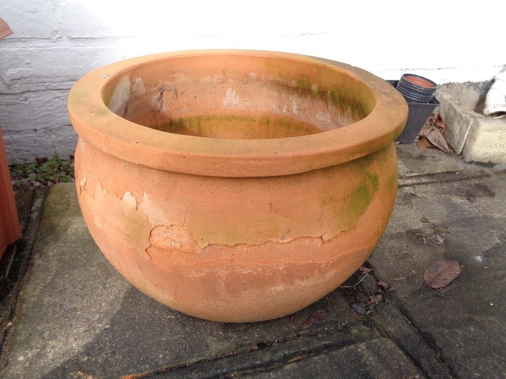 Large Terracotta  Pot  in Epsom Surrey Gumtree