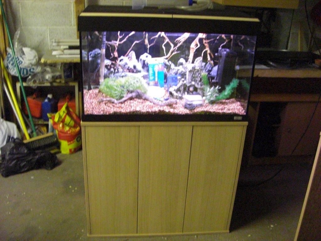 For sale Fluval Roma 125 litre aquarium/fish tank with ...
