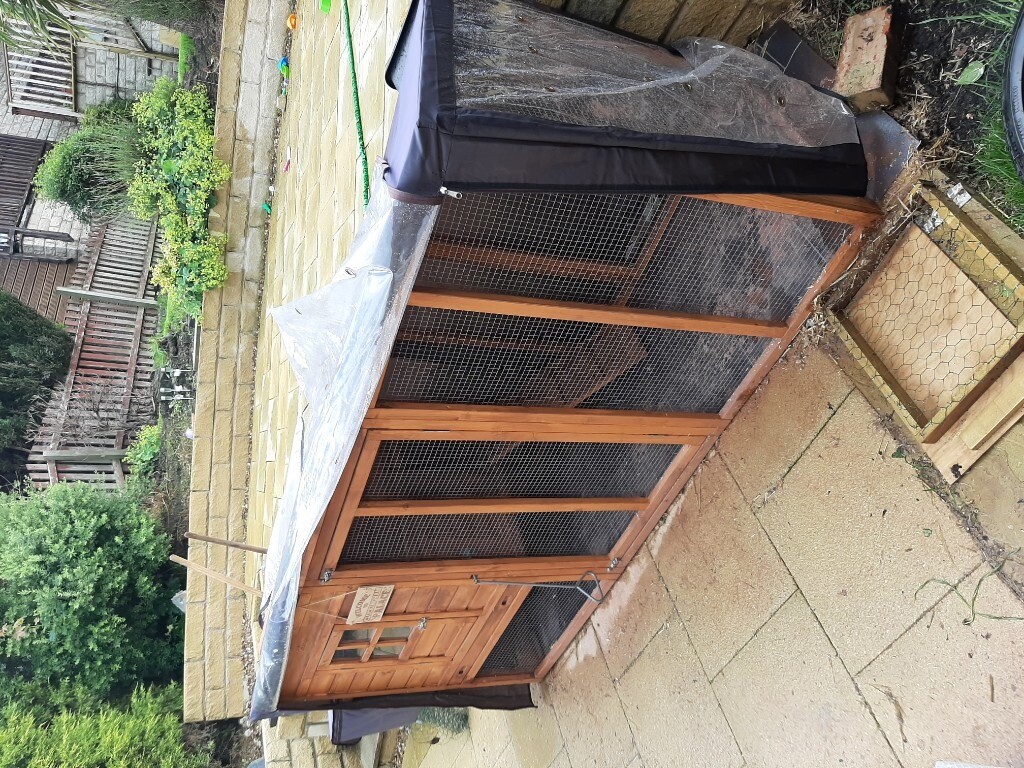  Chicken coop cover and set up in Linthwaite West 