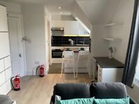 Newly Renovated Fully Furnished Studio Flat to Rent in Cotham