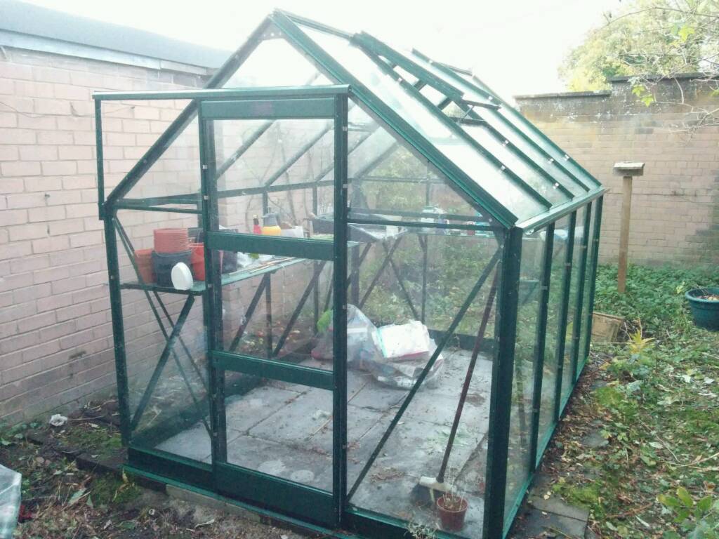 Greenhouse | in Galashiels, Scottish Borders | Gumtree