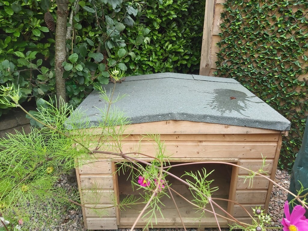 Large dog kennel in Magherafelt, County Londonderry Gumtree