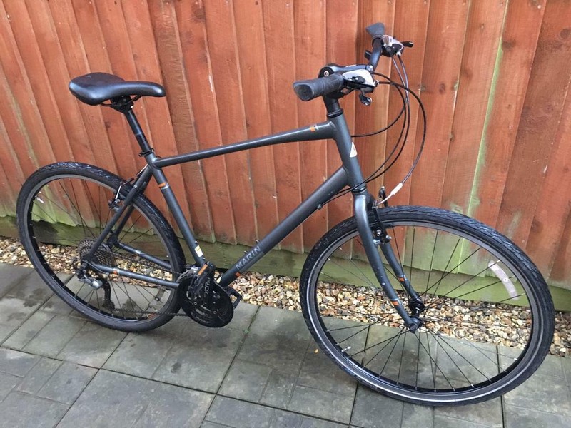 marin larkspur hybrid