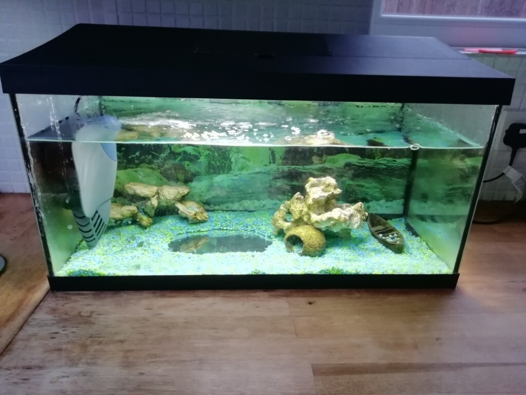 Fish tank. 60 litre with pump, heater and accessories in Blackpool