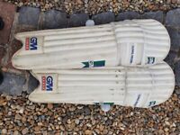 Cricket equipment Used Pad, Helmet, kit bag