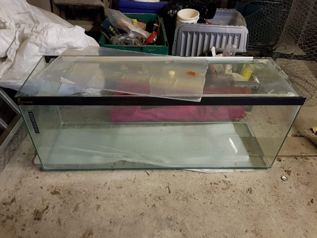 Clear Seal Fish Tank in Cambuslang, Glasgow Gumtree