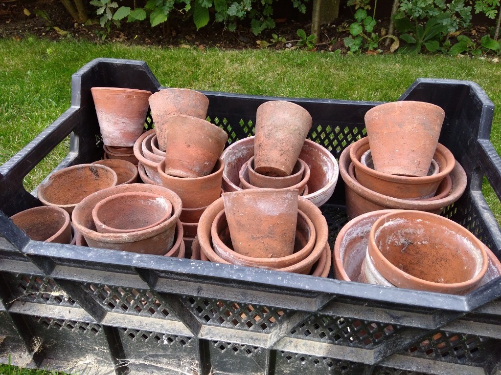 Old Terracotta Flower Pots in Emmer Green, Berkshire Gumtree