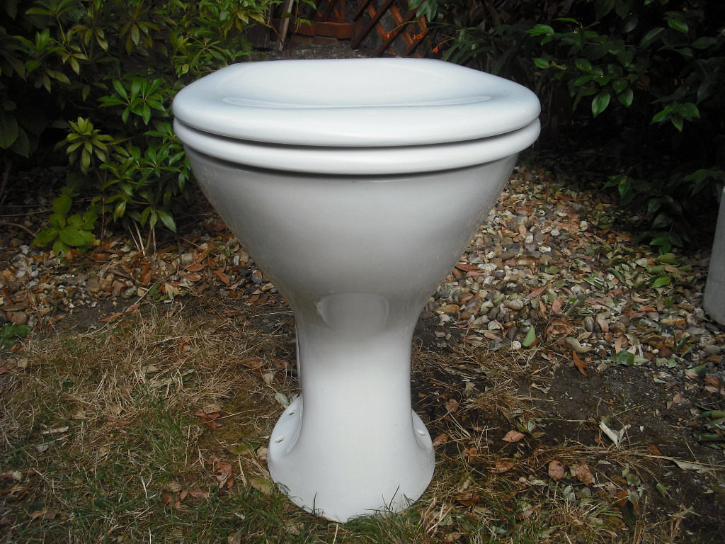 Royal Doulton Toilet and Armitage Shanks Cistern in Heybridge, Essex