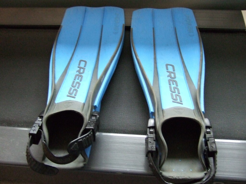 Cressi Frog Diving Fins M/Large in Exminster, Devon Gumtree